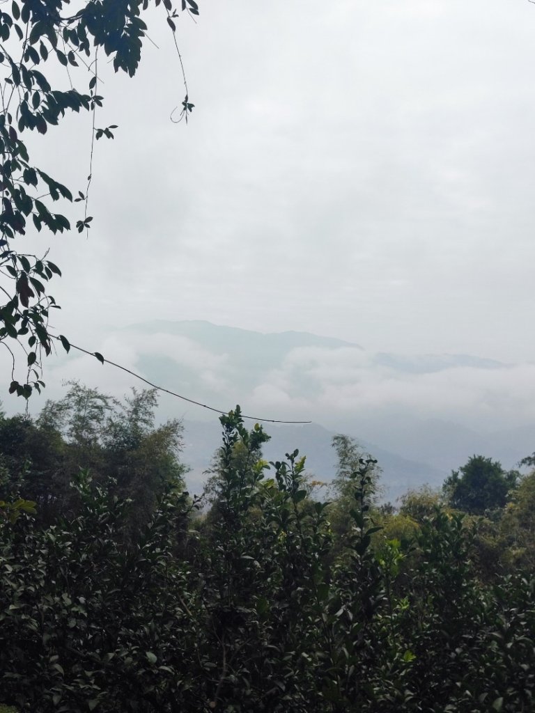 飛沙龍逆走_2988873