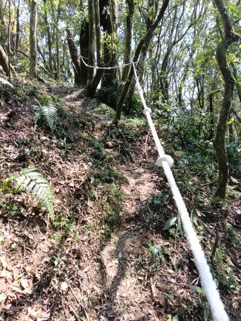 崩山坑古道+東柑腳山+後寮仔嶺+後寮子古道+後寮仔保甲路O型_2750982