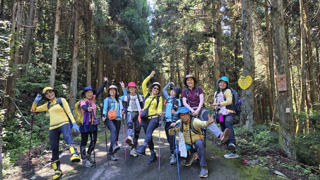 民都有山，夏日首選，好涼爽的中級山，新竹熱門登山景點，時而陽光穿林，時而濃霧彌漫，非常迷人。封面圖