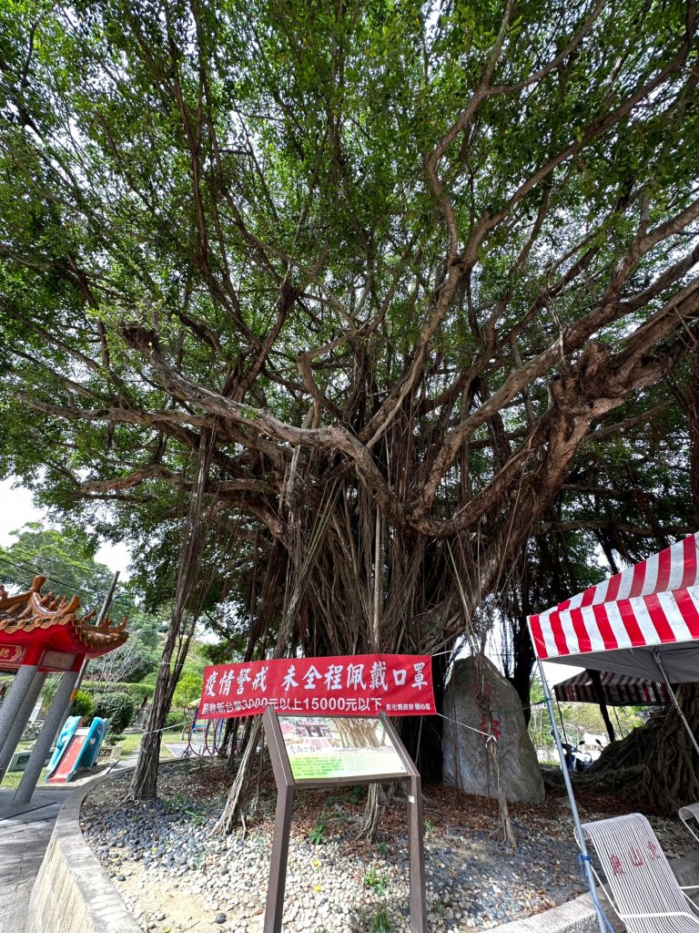 走完天空步道順遊虎山巖_1897418