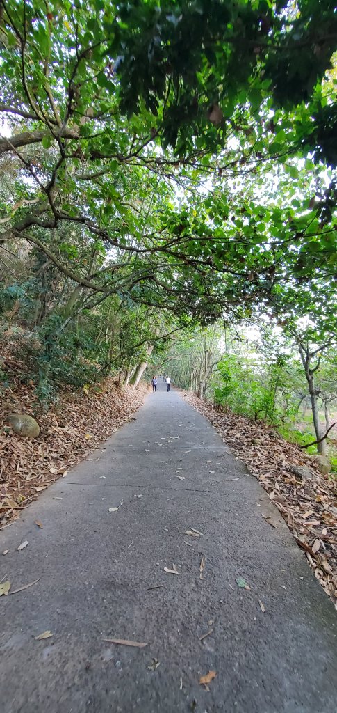 2023-02-19清水岩中央嶺造林步道、十八彎古道_2037793