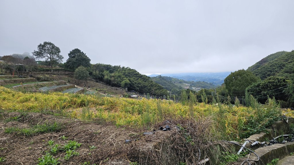 【馬年走馬山，馬到就成功！】🐴馬年馬路要走，馬那邦🏔️也要登！O繞11K，爬升900M，🥾腿在_2977159