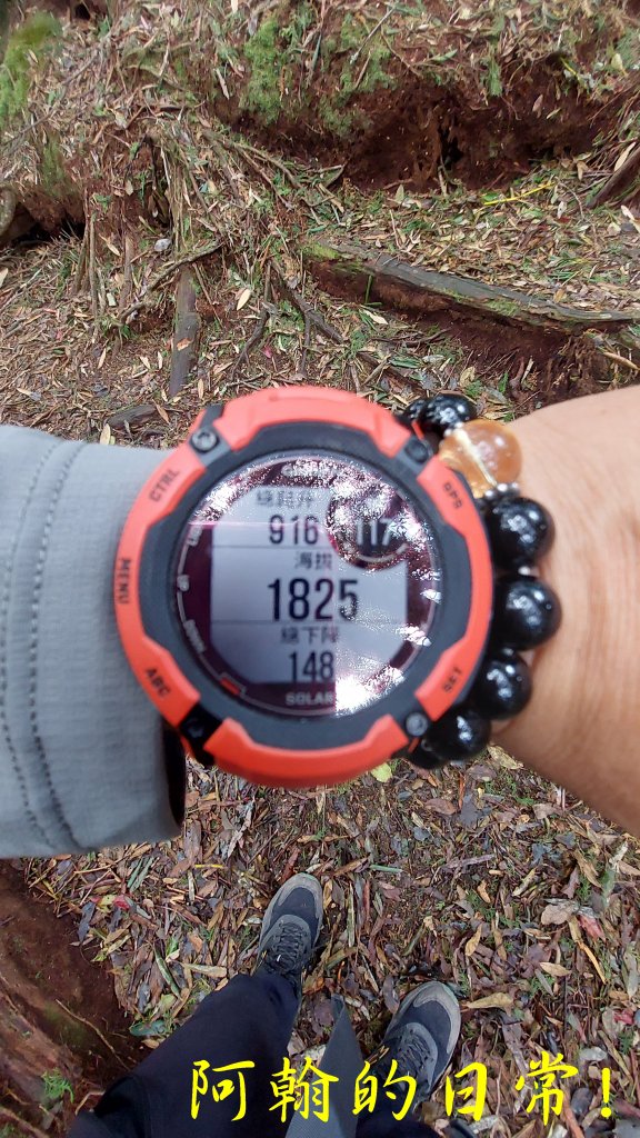 高島縱走_2686989