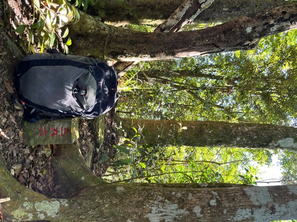 20251116_鳴海山（高雄小百岳）_2941563