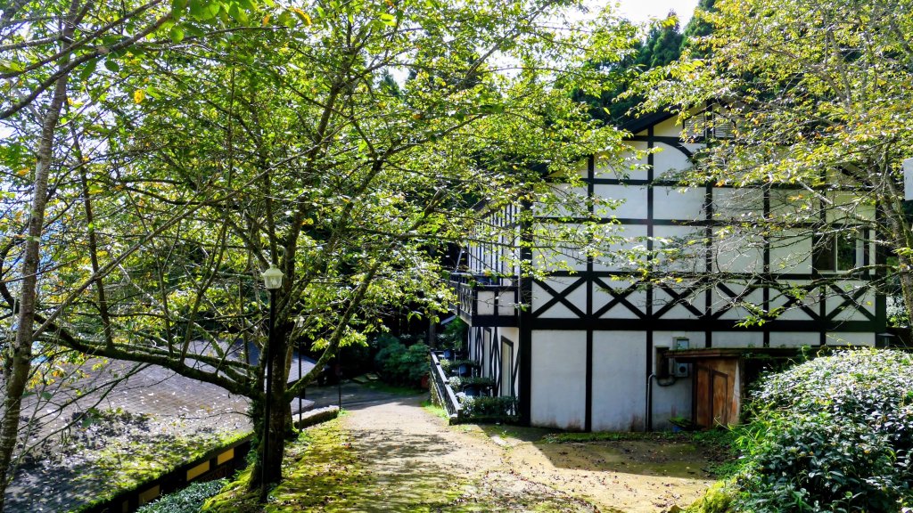 魔幻森林_2882078