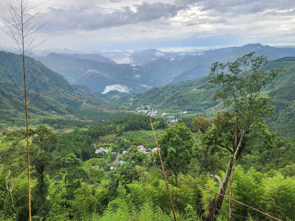 20250719頂湖上大凍山_2907145