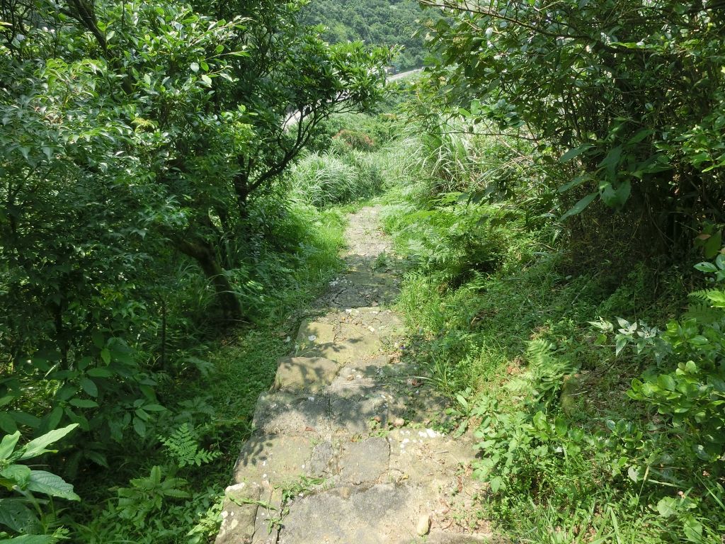 貂山古道．百二崁古道．樹梅坪古道_134017