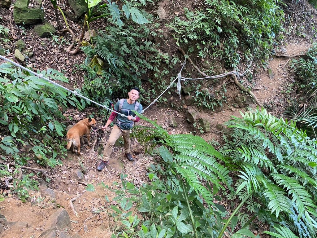 金童山.汶水山.玉女山【冬天的郊山縱走=高山等級的享受】_2680909