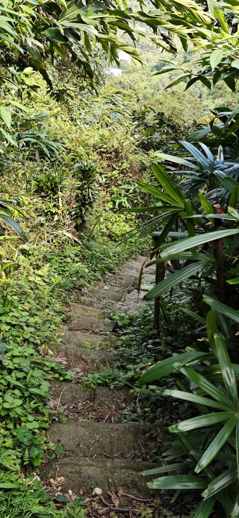2026-0313 烘爐地步道-南勢角山-紫竹寺封面圖