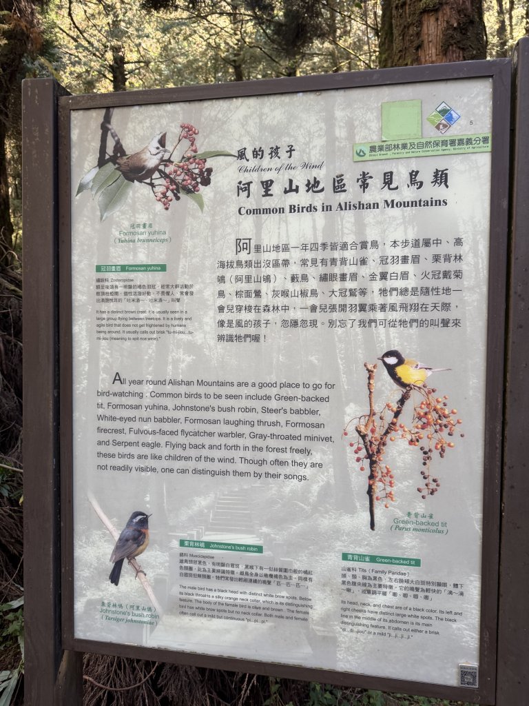 1141215大塔山步道_2996118