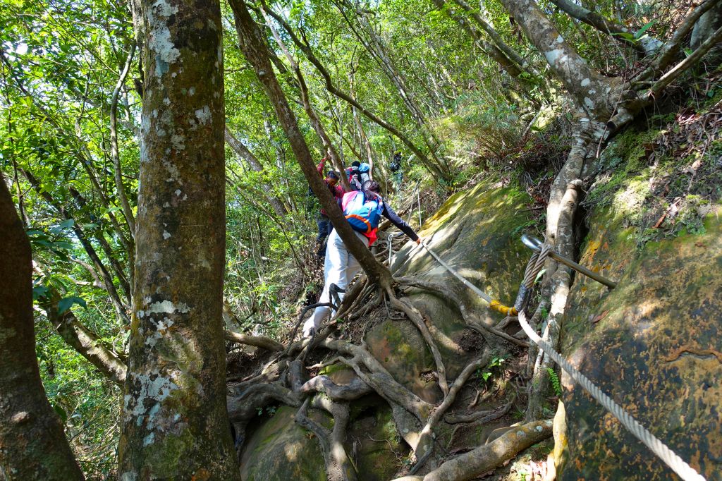 五寮尖 O型 2018.02.18_294500