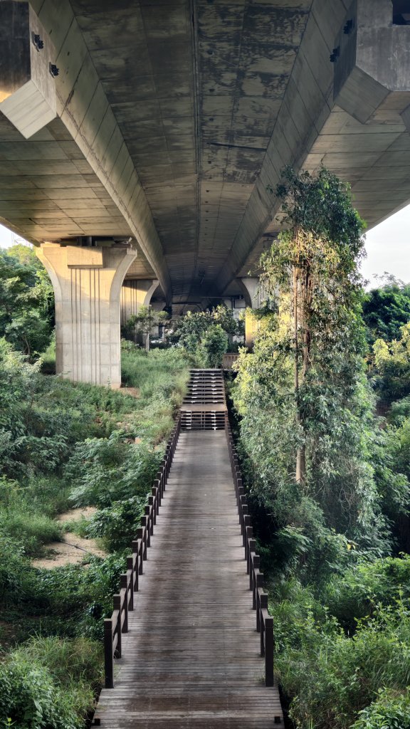 【台灣健行】台中沙鹿地下城_2874460