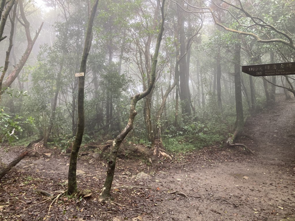 獅仔頭山登山步道_2437053