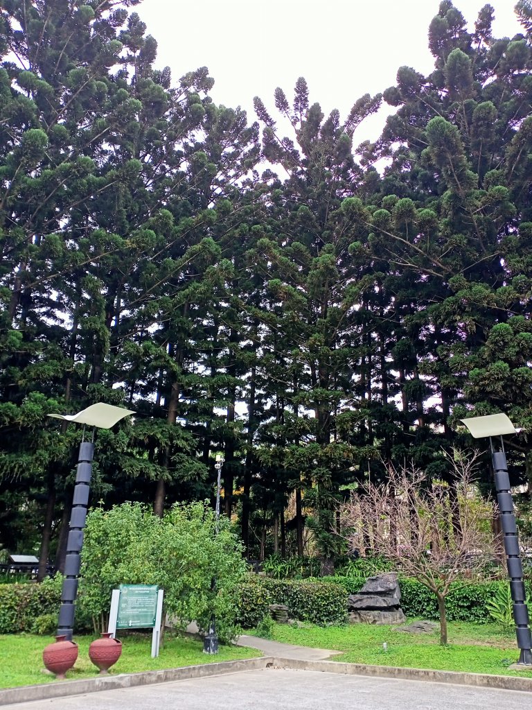 自由廣場、國家戲劇院、國家音樂廳、中正紀念堂、內湖瑞陽公園【齊心鞋力尋寶去】_1995394