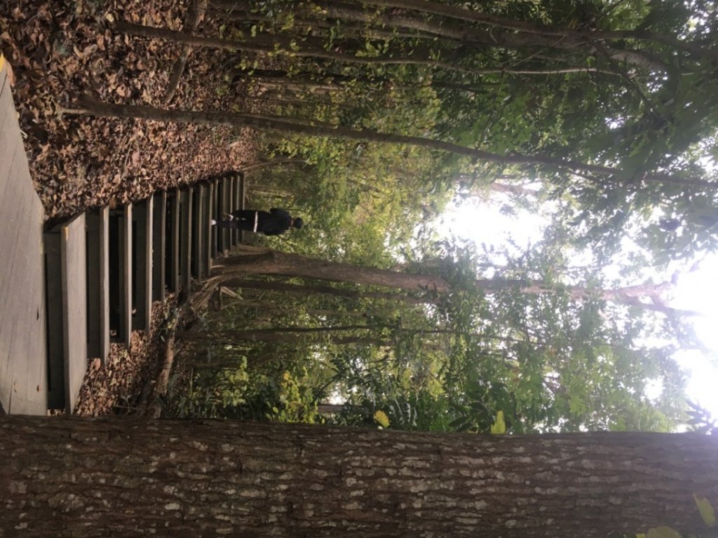 蘭潭後山步道_2041881