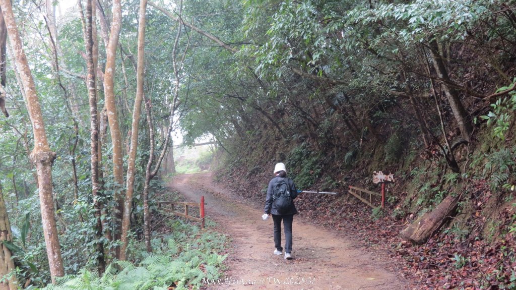 《苗栗》台鐵舊山線｜三義勝興鐵道覓境及挑柴古道O繞20250119_2693574