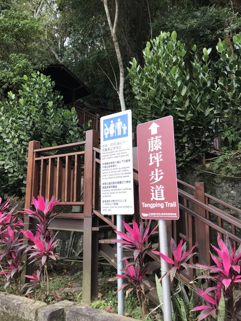 20210109苗栗 獅頭獅尾猿山型_1233347