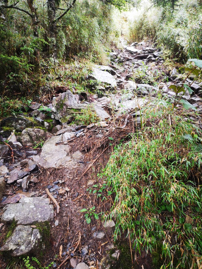 2019/08/19~20玉山前五峰_655927