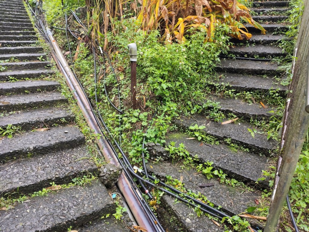 微笑山線：【五分山系】菁桐煤礦段封面圖