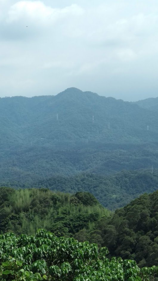 2020 8/21 大溪 金面山封面圖