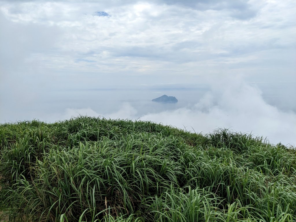 鶯子嶺封面圖