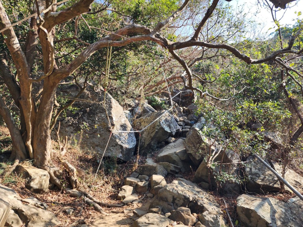 小百岳No.80⛰里龍山_2776321