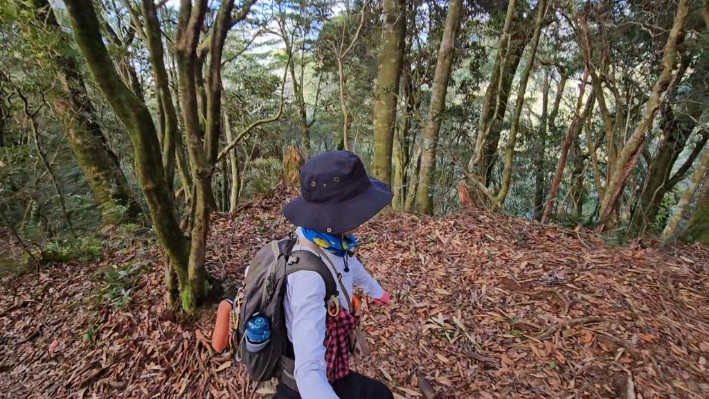 翩翩起舞的塔曼山_2363546