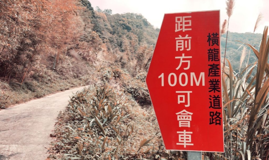 【中級山縱走】水雲三星，橫龍山，騰龍山，橫龍古道_2742950