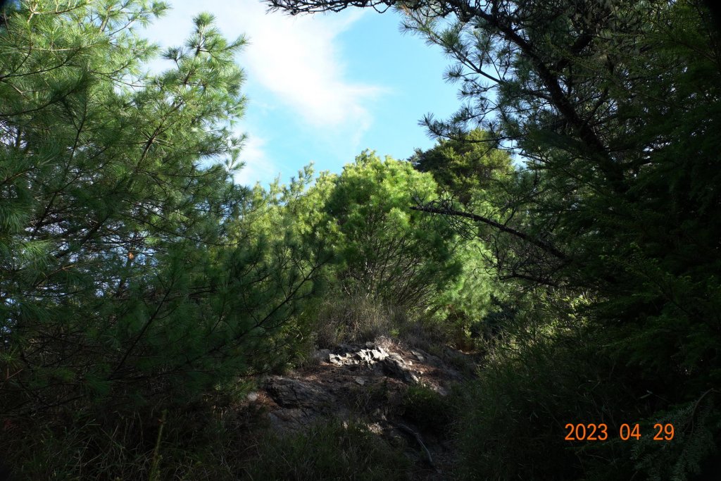 南投 仁愛 武法奈尾山_2133787