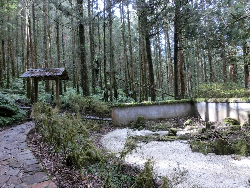 棲蘭山莊．神木園．明池_93576