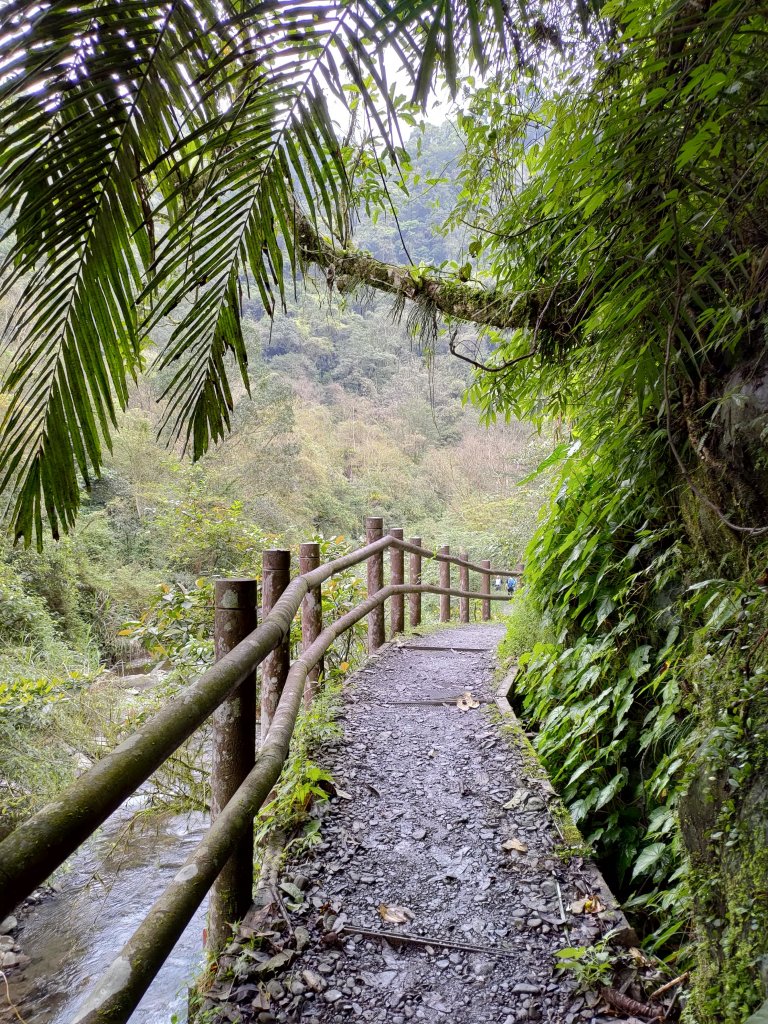 九寮溪步道_1319267