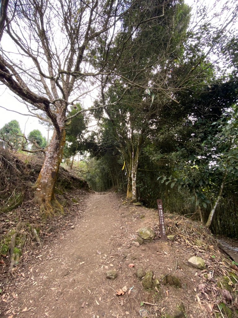 馬那邦山-珠湖登山口來回_2378412