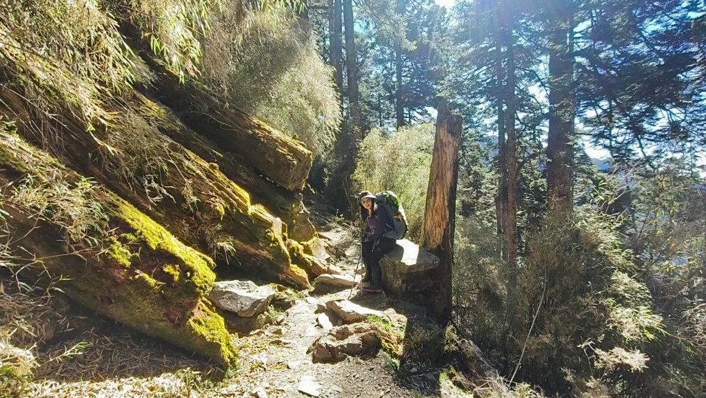 玉山後四峰20251216~19_2967072