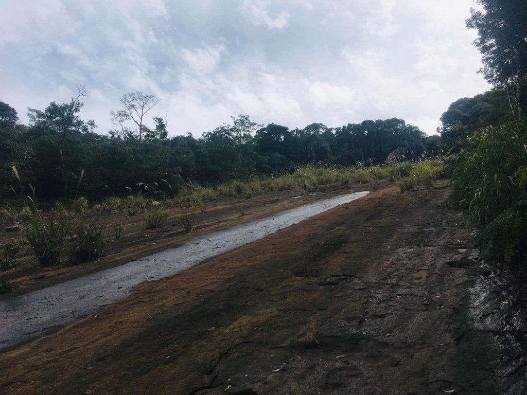 無名山、大坪山、加里山8字走、雲海看到飽_1924746