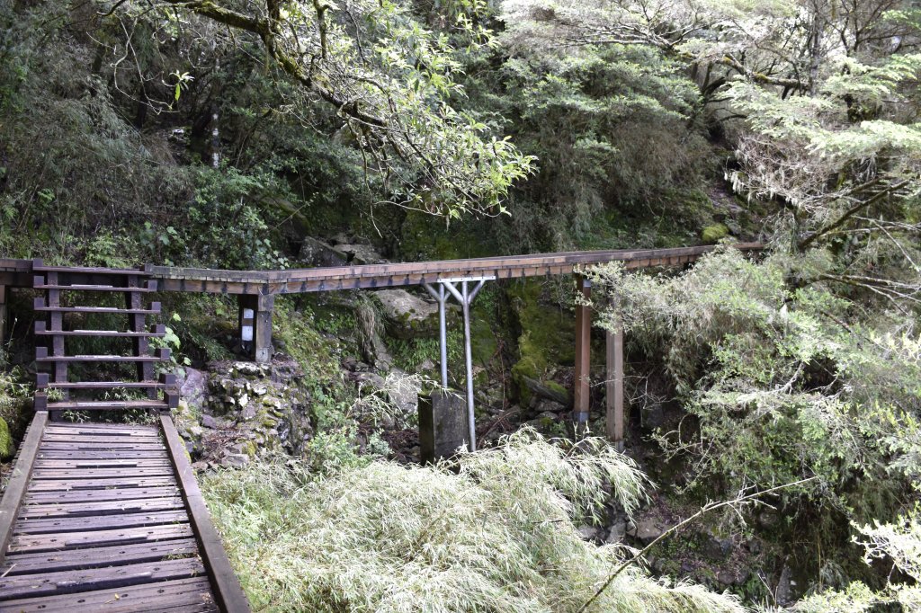 2019/07/12-13玉山行_752161