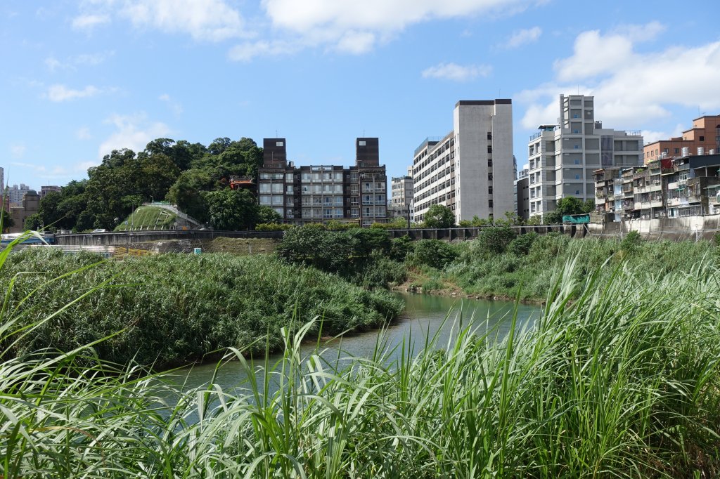 木柵河濱公園．景美河濱公園_1142920