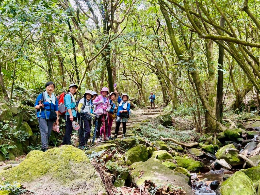 上磺溪橋走魚路古道/金包里城門/擎天崗/冷水坑_2872152