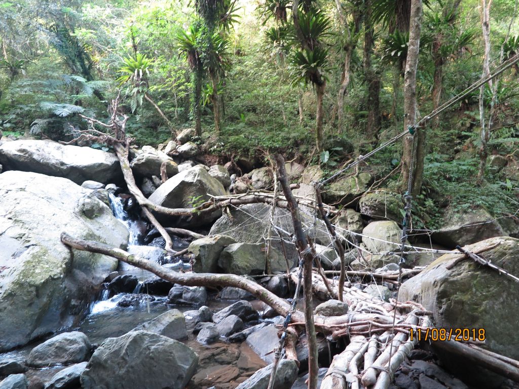 雲森瀑布 滿月圓山 O 型封面圖