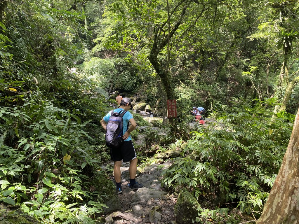 《探訪熊空秘境｜新北三峽雲森瀑布沁涼體驗》_2878470