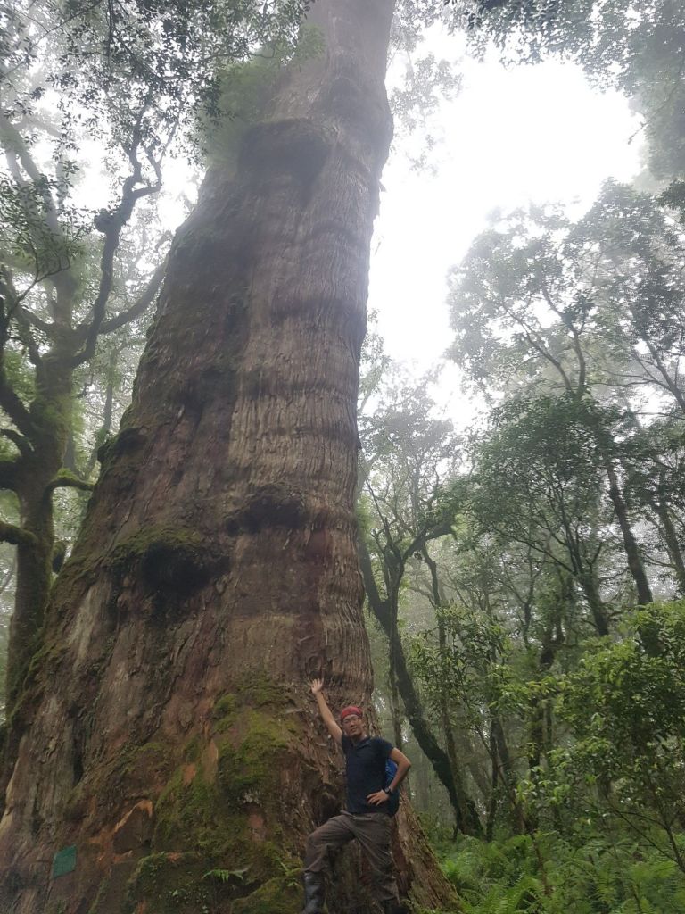 170523-佐米踏查_137846