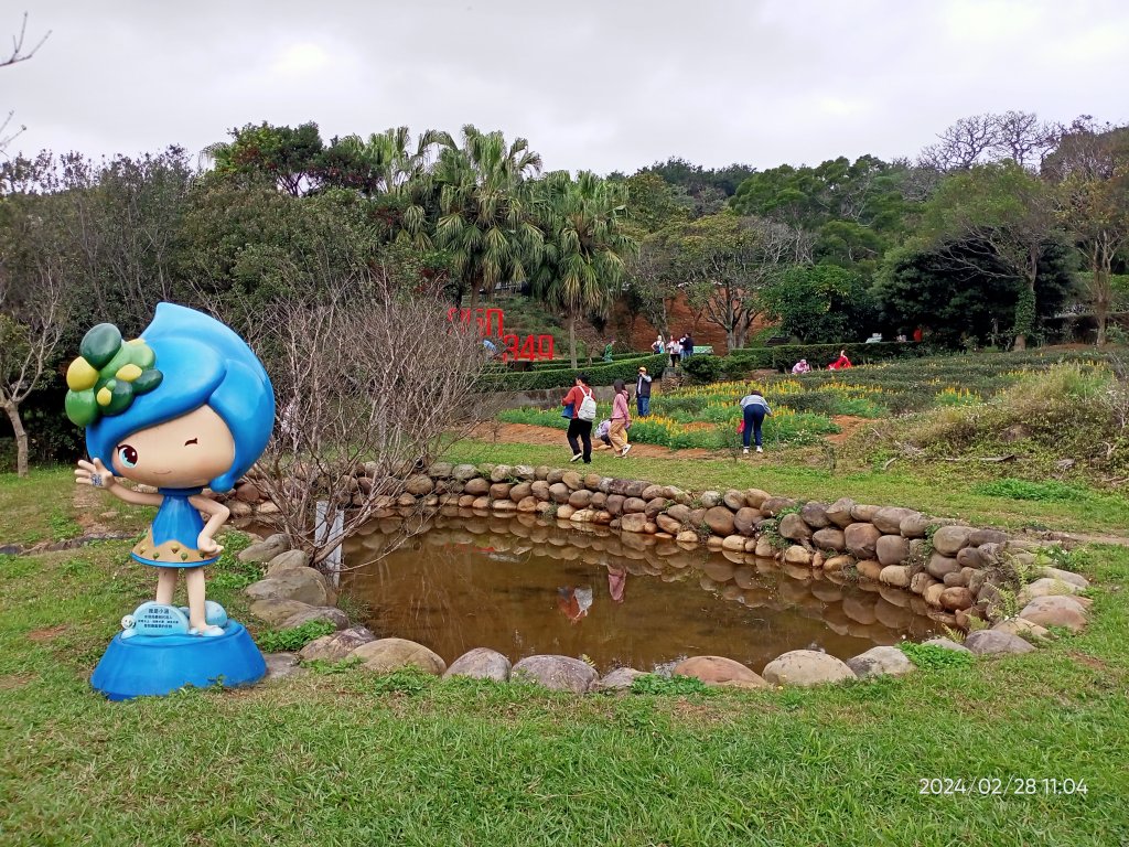 桃園龍潭大北坑休閒農業區觀賞魯冰花海→石門水庫風景區→溪洲公園封面圖