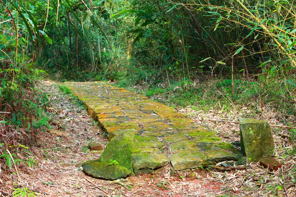 五指山支稜。東陽明山群峰_549862