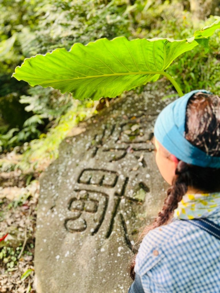 內寮石雕秘境-陽明山16草原-坪頂-圳仔-百年溪山古圳_2499688