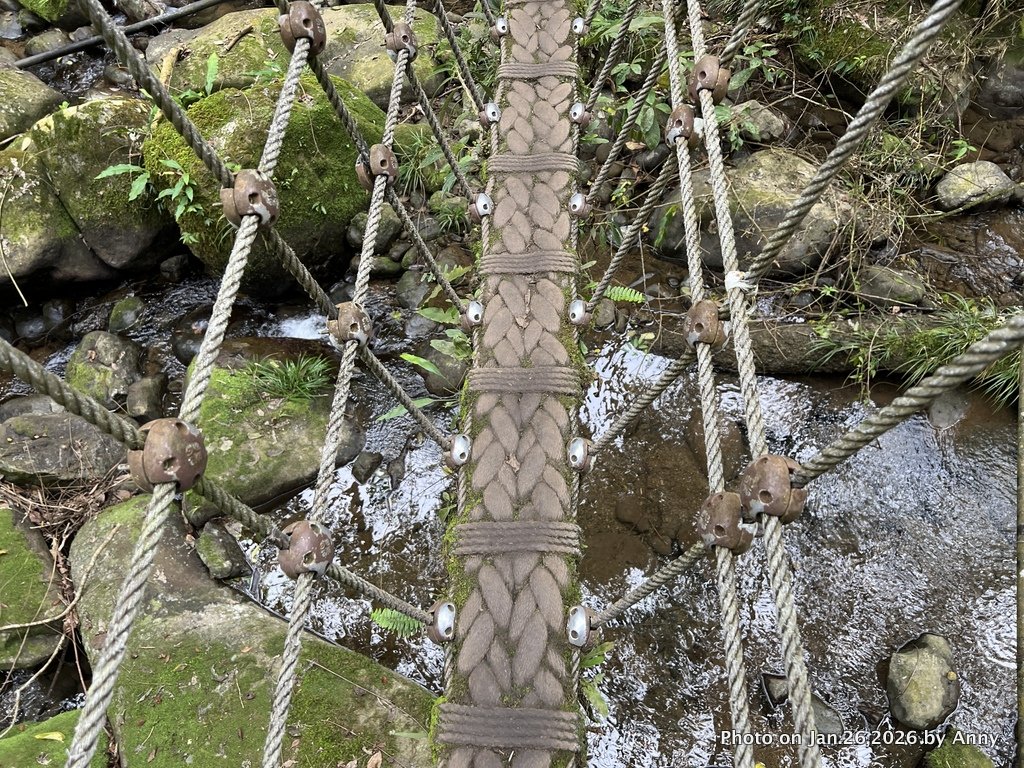 【新竹縣】親民又原始的馬胎古道＋南坪古道_2991187