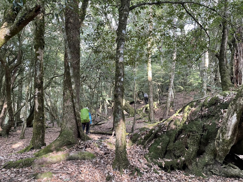 卡社山、拉夫朗山、加年端山 O型縱走 (二)_1351322