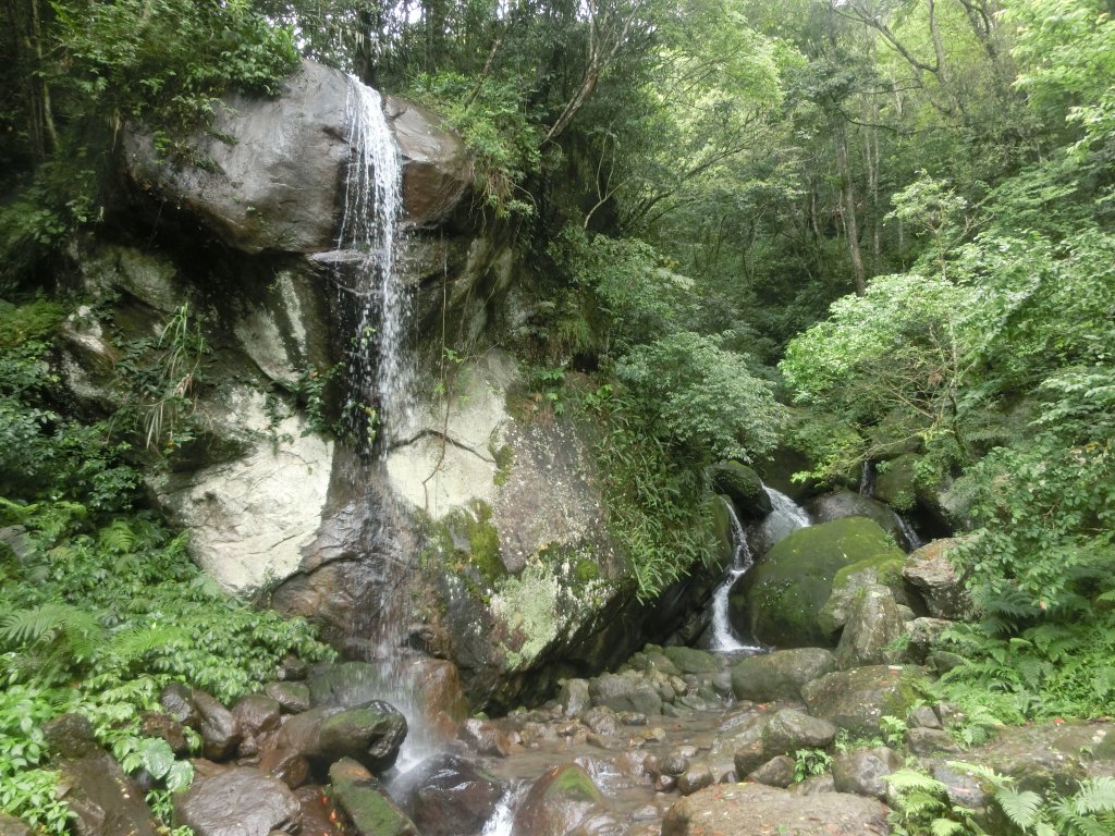 馬武督森林_566525