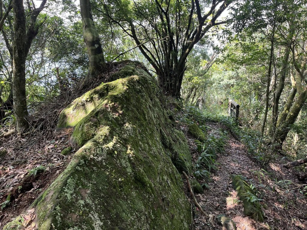 九份二山_2866812