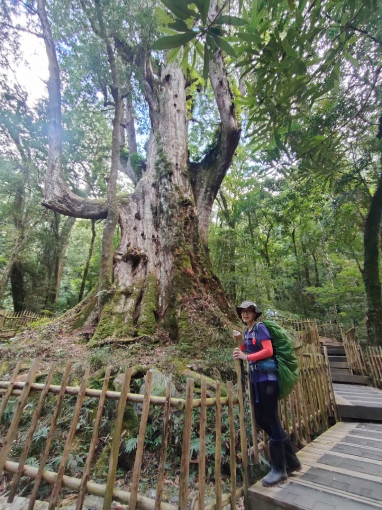 1110820~21 司馬庫斯越嶺棲蘭100林道_1815958