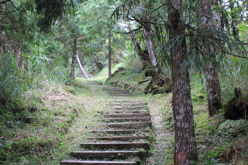 太平山望洋山步道_200841