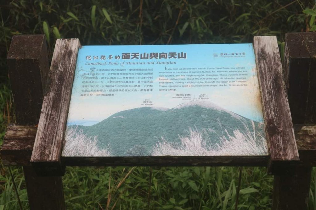 〔陽明山 〕面天山 向天山 向天池 二子坪步道。火山口湖 獨特生物蚌蟲 向天蝦（豐年蝦）_2235442